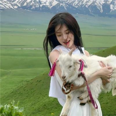 史上最糟糕的室友第二季