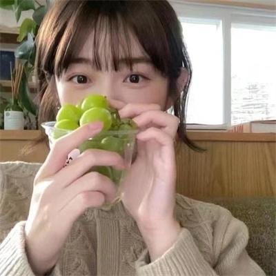 香椿